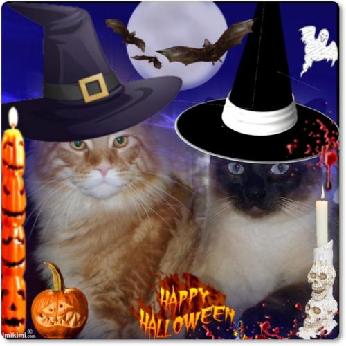 CASANOVA Bratnia Dusza *Pl -haloween 2010
