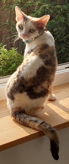 Mia
