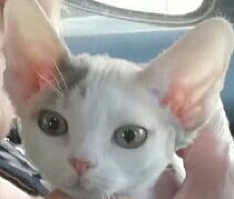 Mia
