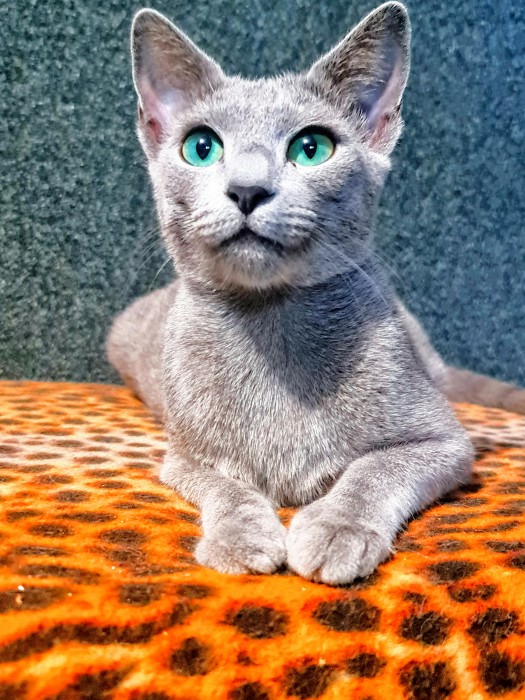 Olga
