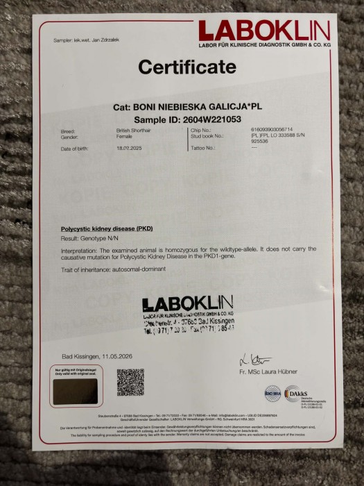 certyfikat PKD
